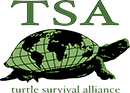 turtle survival alliance charity sponsor logo